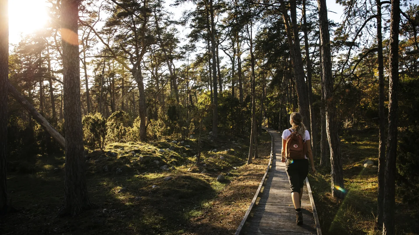 Vandra Trollskogen